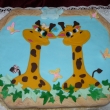 �irafky tom a ��rka