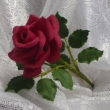 prvn� r��e