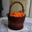 ko� s guaranou