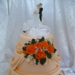 v oran�ov�m