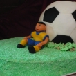 fotbalista